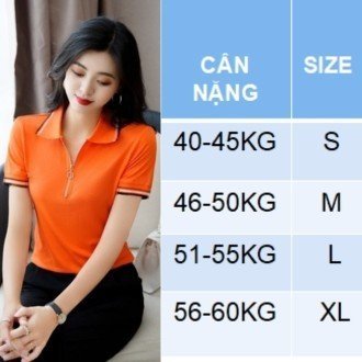 Áo thun nữ 💗 áo thun polo viền vai thời trang Erina cao cấp