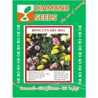 Shop 1K - Gói 20 hạt hoa hồng bụi thơm lùn siêu hoa mix f1