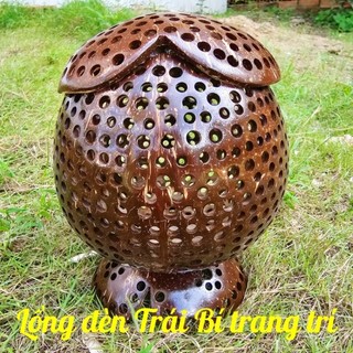 Lồng đèn trang trí TẾT/ Lồng đèn ngủ gáo dừa/ Lồng đèn deco trang trí sân vườn,quán ăn...