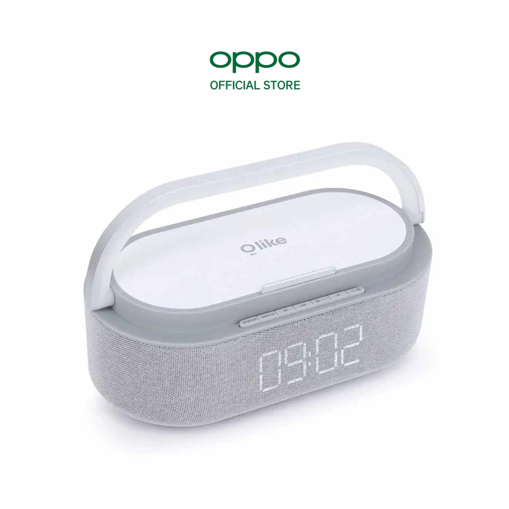 Loa đa chức năng