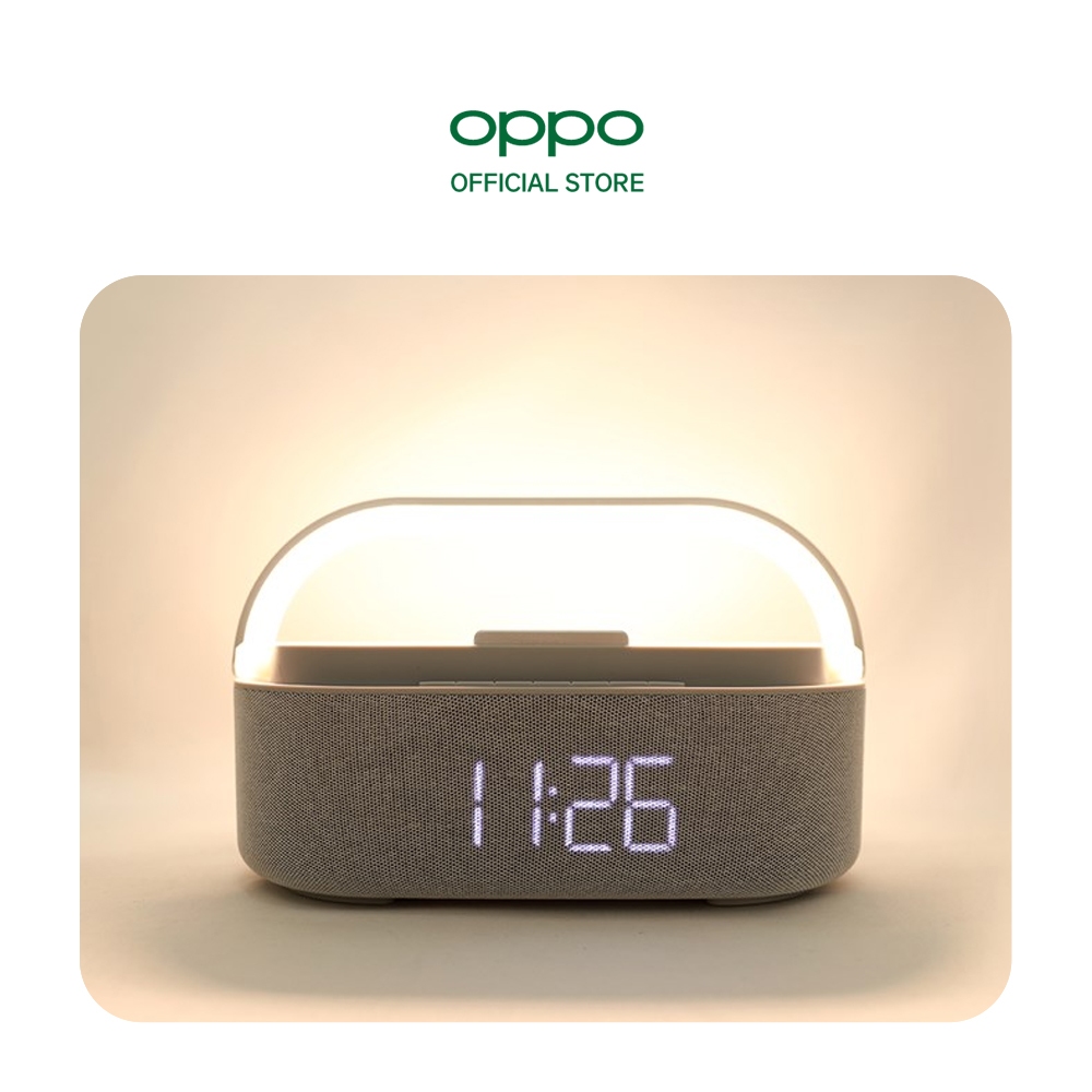 Loa đa chức năng