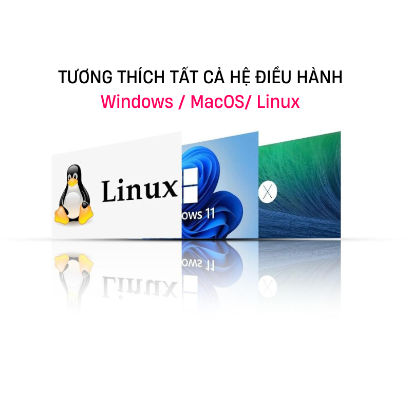 Đầu đọc thẻ memory stick pro duo - Sony dành cho điện thoại IPh 6-15promaxxx, android Type c, Máy tính bảng và laptop