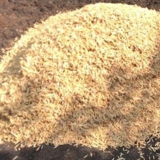 1kg Vỏ trấu khô