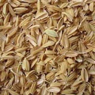 1kg Vỏ trấu khô