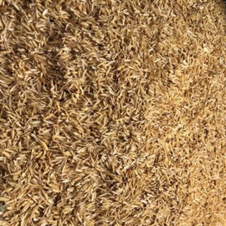 1kg Vỏ trấu khô