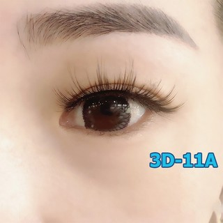 Lông mi chồn 3D số 11A