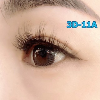 Lông mi chồn 3D số 11A