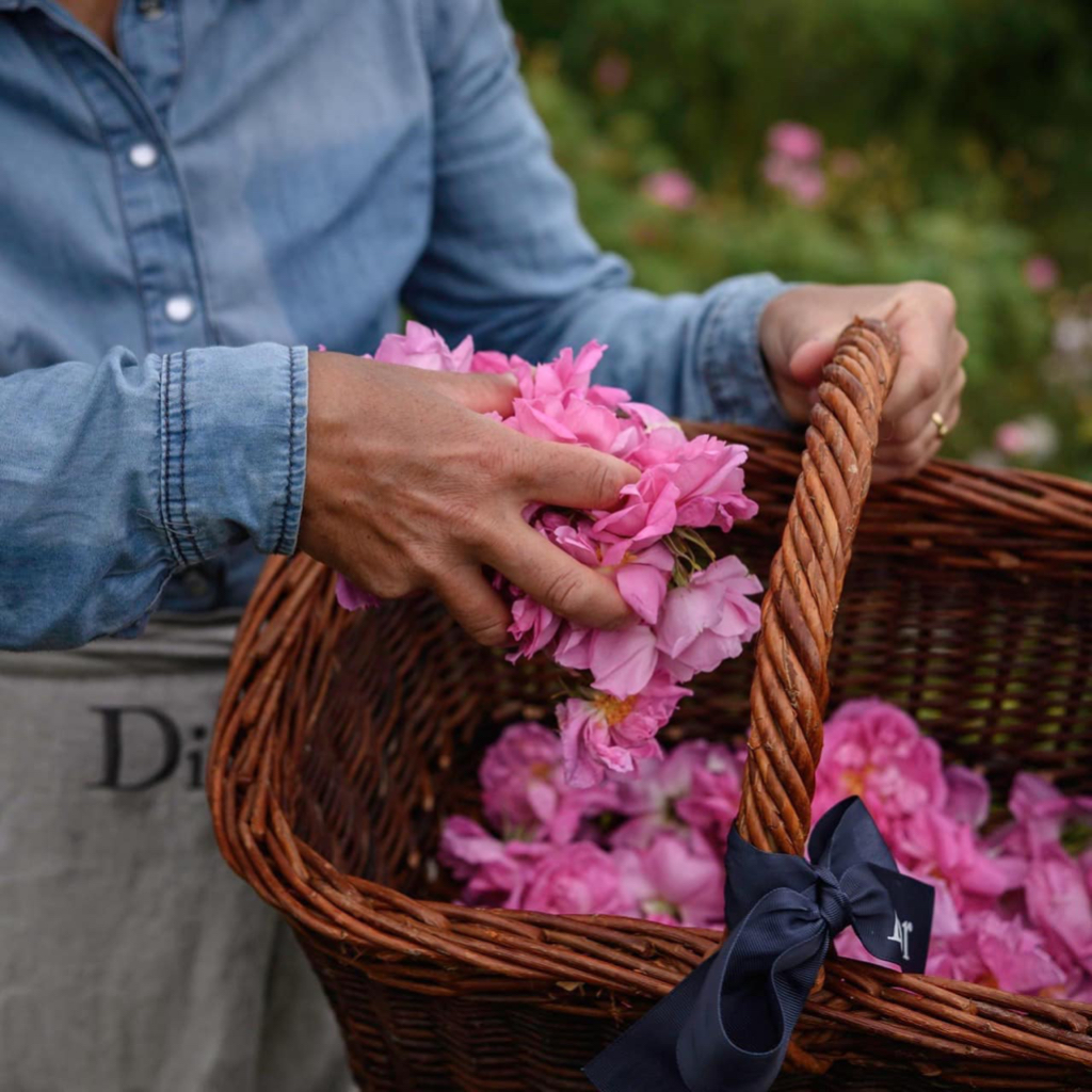 🌸HẠT TẮM 𝐌𝐈𝐒𝐒 𝐃𝐈𝐎𝐑 𝐁𝐀𝐓𝐇 𝐏𝐄𝐀𝐑𝐋𝐒 𝟏𝟎𝟎𝐠 𝐁𝐒𝐓 𝐌𝐈𝐋𝐋𝐄𝐅𝐈𝐎𝐑𝐈 𝐂𝐎𝐋𝐋𝐄𝐂𝐓𝐈𝐎𝐍