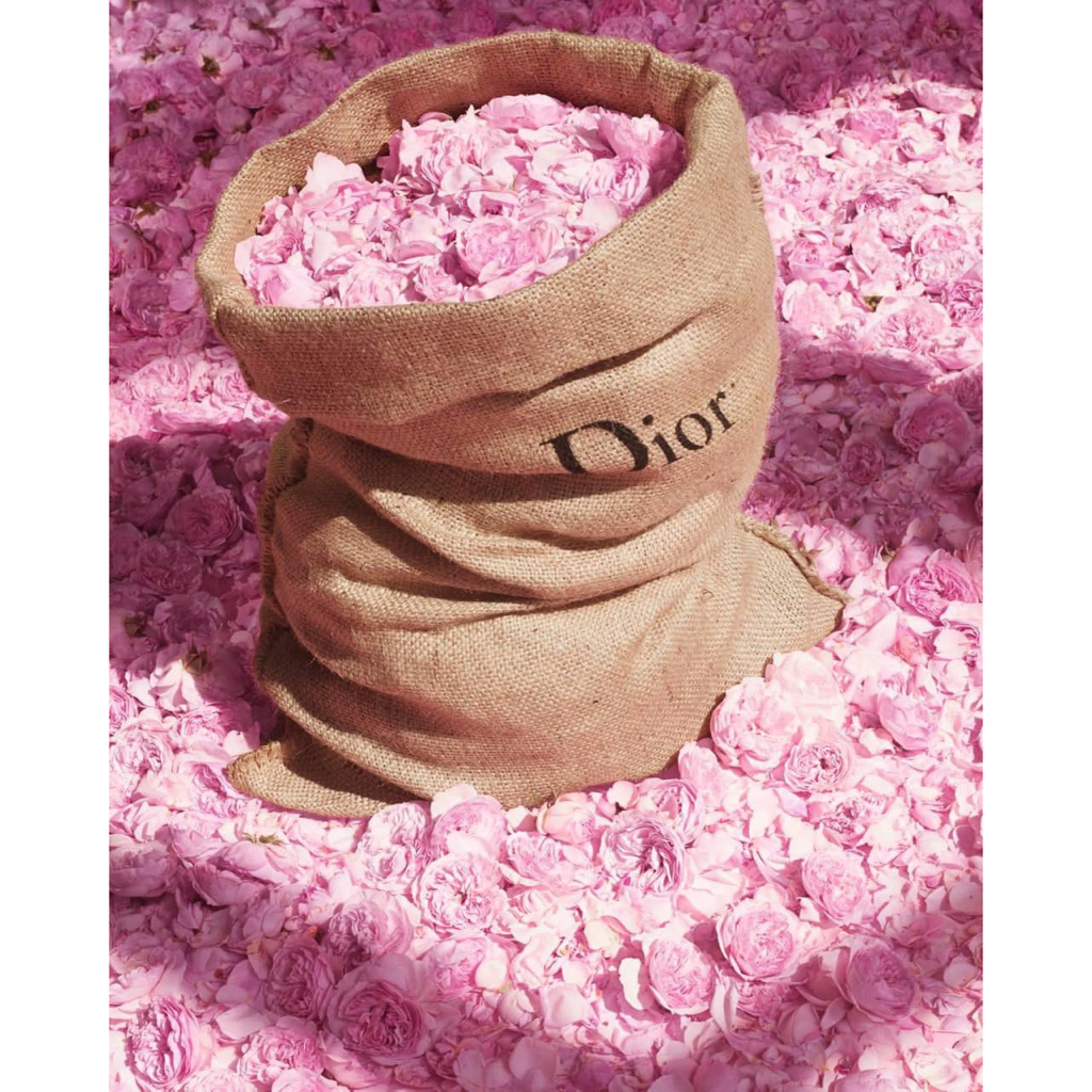 🌸HẠT TẮM 𝐌𝐈𝐒𝐒 𝐃𝐈𝐎𝐑 𝐁𝐀𝐓𝐇 𝐏𝐄𝐀𝐑𝐋𝐒 𝟏𝟎𝟎𝐠 𝐁𝐒𝐓 𝐌𝐈𝐋𝐋𝐄𝐅𝐈𝐎𝐑𝐈 𝐂𝐎𝐋𝐋𝐄𝐂𝐓𝐈𝐎𝐍