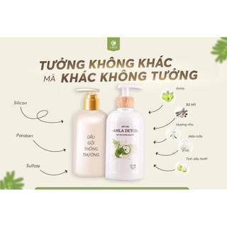 cặp gội xả amla detox