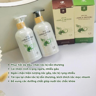 cặp gội xả amla detox