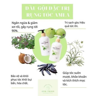 cặp gội xả amla detox