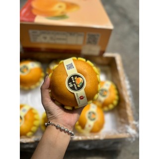 Thùng lê nâu hàn 5kg lun thùng - thích hợp làm quà tặng