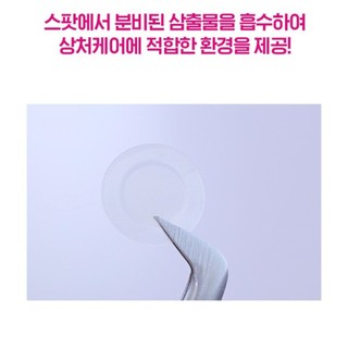 [144 miếng] Miếng dán mụn Olive Young Care Plus Spot Patch