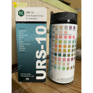 Que thử nước tiểu 10 thông số teco - que phân tích nước tiểu urs 10