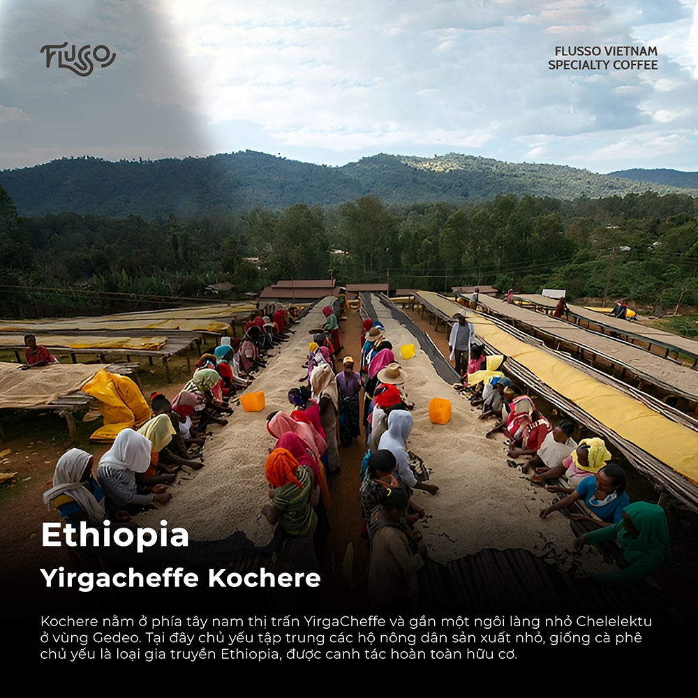 Cà phê Specialty Ethiopia G1