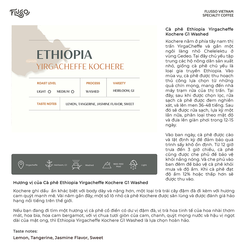 Cà phê Specialty Ethiopia G1