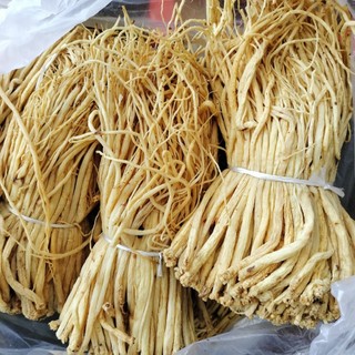 Đẳng sâm rừng sấy khô - hàng loại 1 - nhân sâm của người bình dân