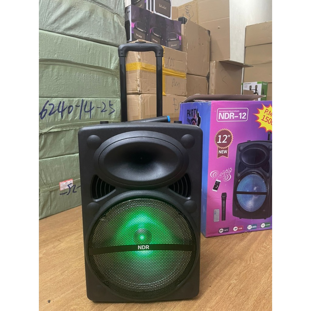 Loa Kéo Di Động Karaoke NDR-12