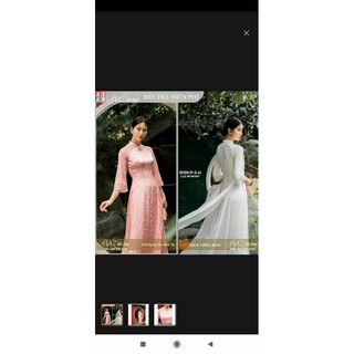Link chốt livestream