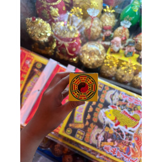 CÂY XÔNG NHÀ _ HÀNG CÔNG TY