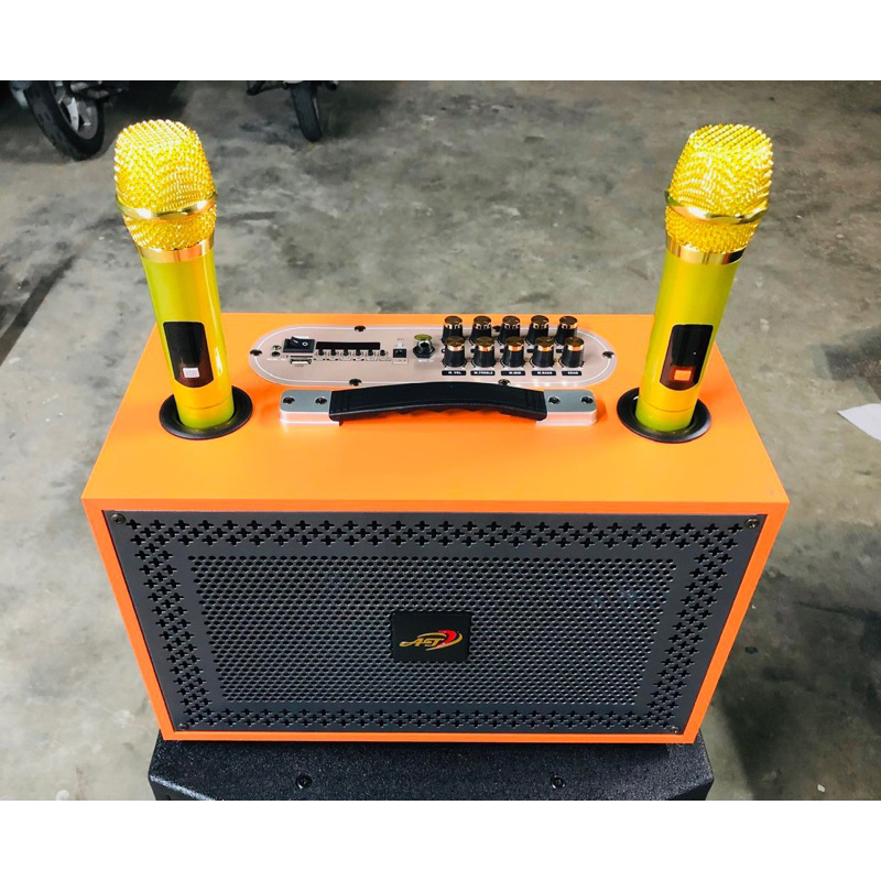Loa Di Động Karaoke AT 888, Bass 20 cao cấp Sang Trọng