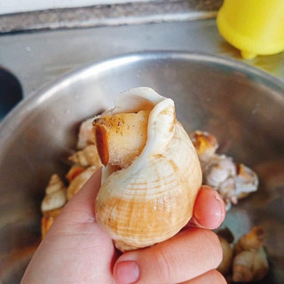 Ốc Bullot Cấp Đông (1KG)