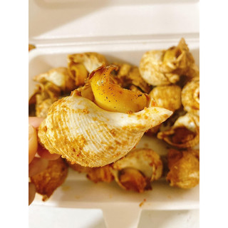 Ốc Bullot Cấp Đông (1KG)