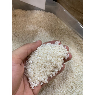 Túi 1kg gạo nở xốp 504