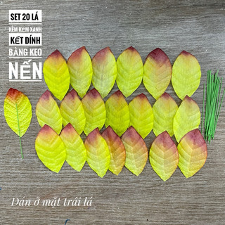 Lá mai đất sét
