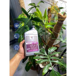  Nhớt Xe Tay Ga Maxlube 4T Jaso MB 10w-40 946ml Synthetic 