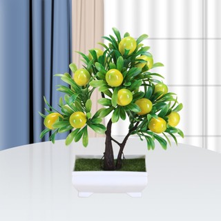  Cây Giả bonsai - Chậu Cây Quả Lựu Đào Quất Cherry Chanh để bàn - Cây trang trí decor 
