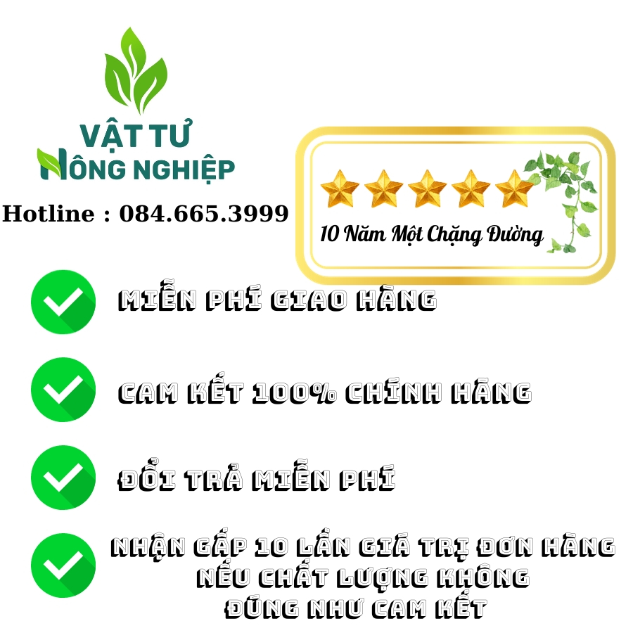 TOPSIN 70WP Hoạt Chất Cũ - Trị Nấm Bệnh, Diệt Khuẩn, Phấn Trắng, Sương Mai - Hàng Chất Lương