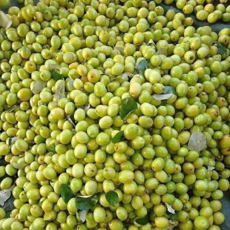 Táo chua 1kg - Ship hoả tốc Hà Nội