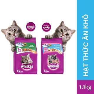 Whiskas® thức ăn mèo whiskas hạt khô cho mèo 1.2kg