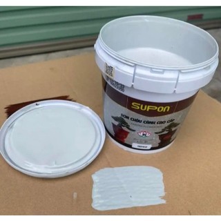 Sơn xám trắng xi măng sơn ngoại thất chuyên supon