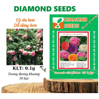 Hạt Giống Hoa Hồng Ngoại Mix Đủ Loại Hạt giống Hoa Hồng Leo Pháp nhiều màu