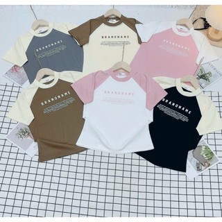 Áo BabyTee Raplang Brand Name Borip Co Dãn 4 Chiều - Dư Tú Lệ Shop