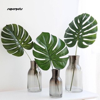 Cành Lá Rùa , Lá Dừa ,Lá Cọ Decor