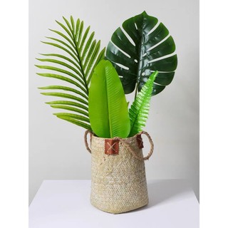 Cành Lá Rùa , Lá Dừa ,Lá Cọ Decor