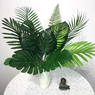 Cành Lá Rùa , Lá Dừa ,Lá Cọ Decor