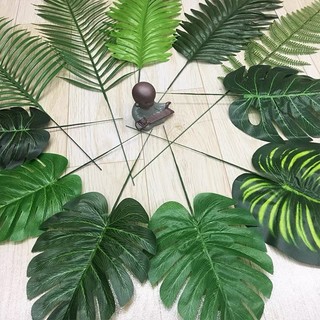 Cành Lá Rùa , Lá Dừa ,Lá Cọ Decor