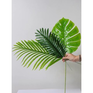 Cành Lá Rùa , Lá Dừa ,Lá Cọ Decor
