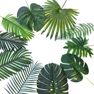 Cành Lá Rùa , Lá Dừa ,Lá Cọ Decor