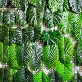 Cành Lá Rùa , Lá Dừa ,Lá Cọ Decor