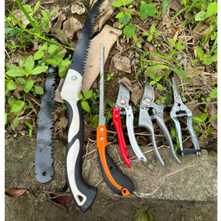 Combo 6 Món Kéo Cắt Cây Cảnh Bonsai Nhật Bản (Kéo Tỉa Thép Trắng - Kéo Cắt Cành - Cưa Lách & Cưa Barker - GD Smart Sk5