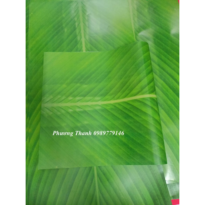 Giấy gói lá dong,lá chuối, gói bánh chưng giả,1 tờ 65x42cm