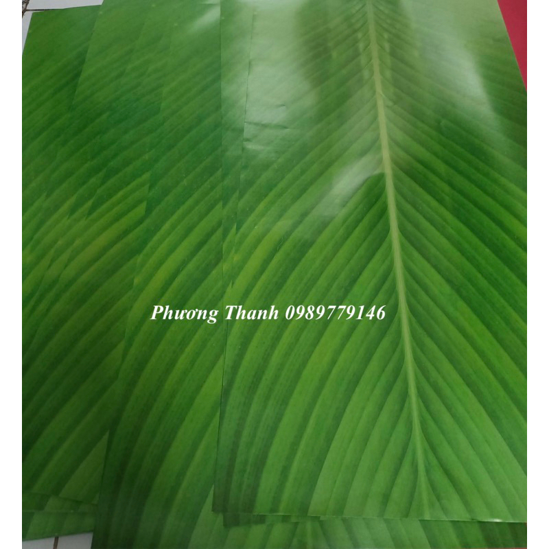 Giấy gói lá dong,lá chuối, gói bánh chưng giả,1 tờ 65x42cm
