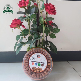 𝐇𝐚̣𝐭 đ𝐢𝐞̂̀𝐮 𝐫𝐚𝐧𝐠 𝐦𝐮𝐨̂́𝐢 - 𝐍𝐠𝐨𝐧 𝐠𝐢𝐨̀𝐧 𝐜𝐡𝐮𝐚̂̉𝐧 𝐯𝐢̣ Bình Phước