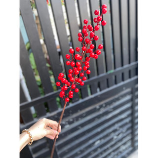 CÀNH ĐÀO ĐÔNG ĐỎ(6 nhánh -12 nhánh)